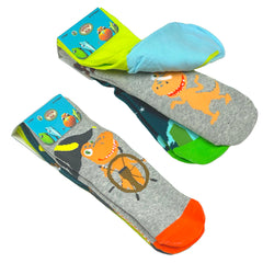 6 Pair Dinosaur Train Space Buddy Crew Socks