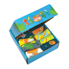 12 Pair PBS Kids Dinosaur Train Wilderness Box
