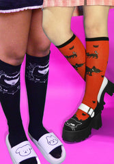 Kitten Steps Knee High Socks - 2 Pair