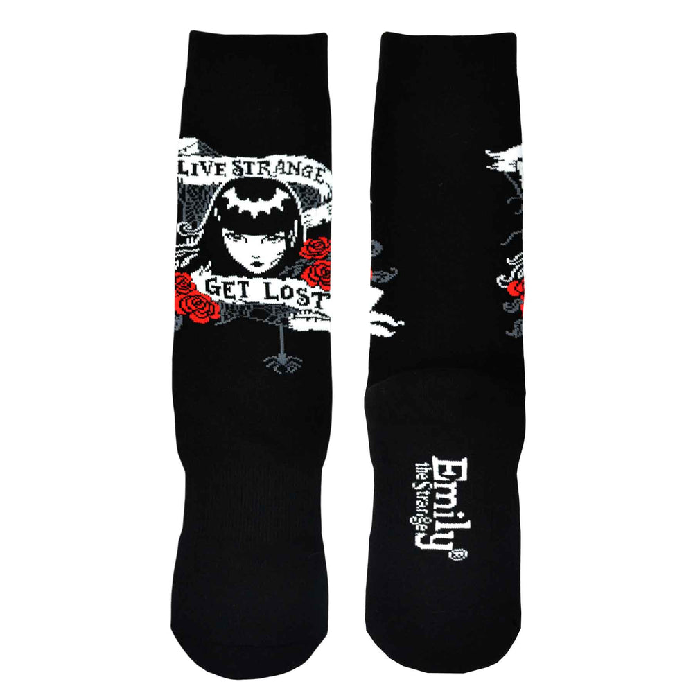 Spider and Red Roses