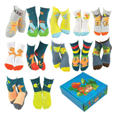 12 Pair PBS Kids Dinosaur Train Wilderness Box