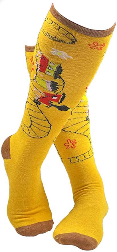 Mary Blair Cute Fun Artistic and Colorful Knee Hi Socks - 2 Pair