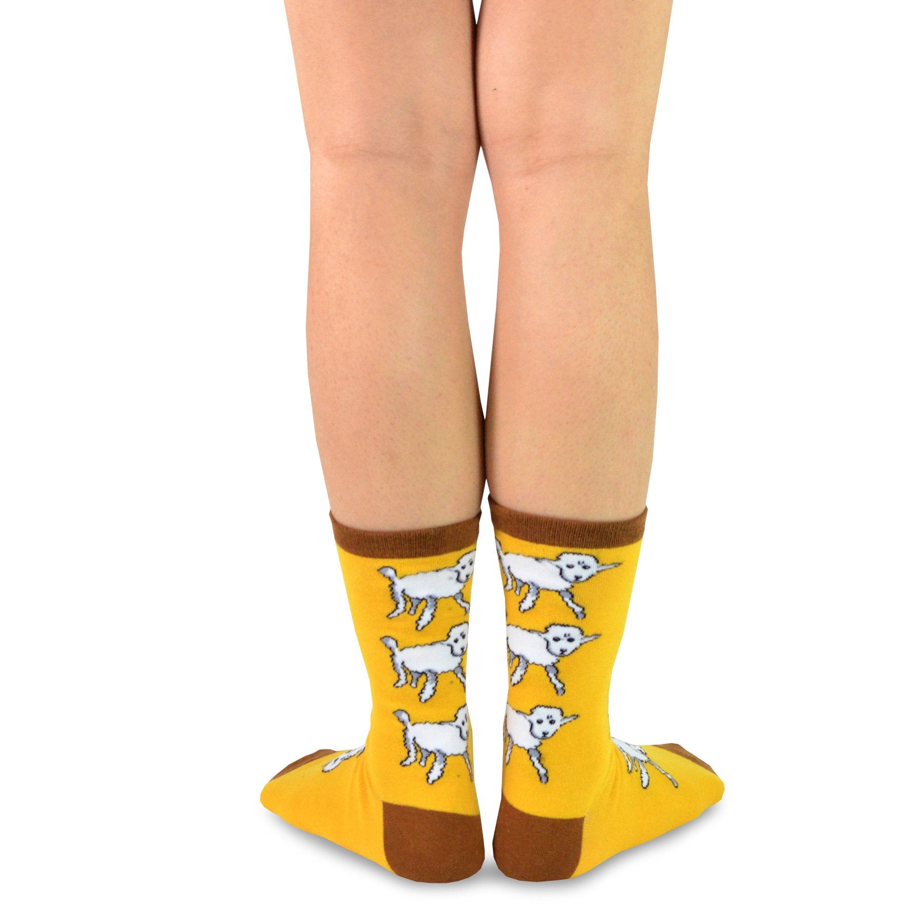 [The Little Prince] Space Boy Classic Book Crew Socks – 12 Pair Gift Box