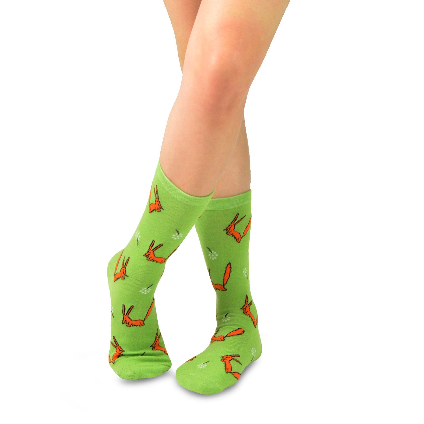 [The Little Prince] Fox Classic Book Crew Socks – 12 Pair Gift Box
